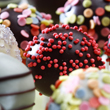 Cakepops - Cakeballs